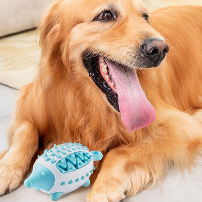 Dog Treat Dispensing Ball – Chew Toy & Teeth Training