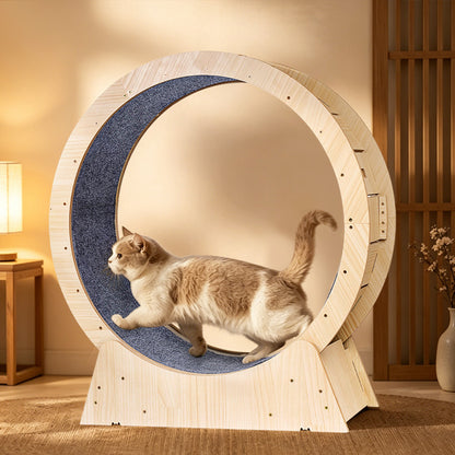 Cat Exercise Wheel – Multi-Layer Running Wheel for Indoor Cats