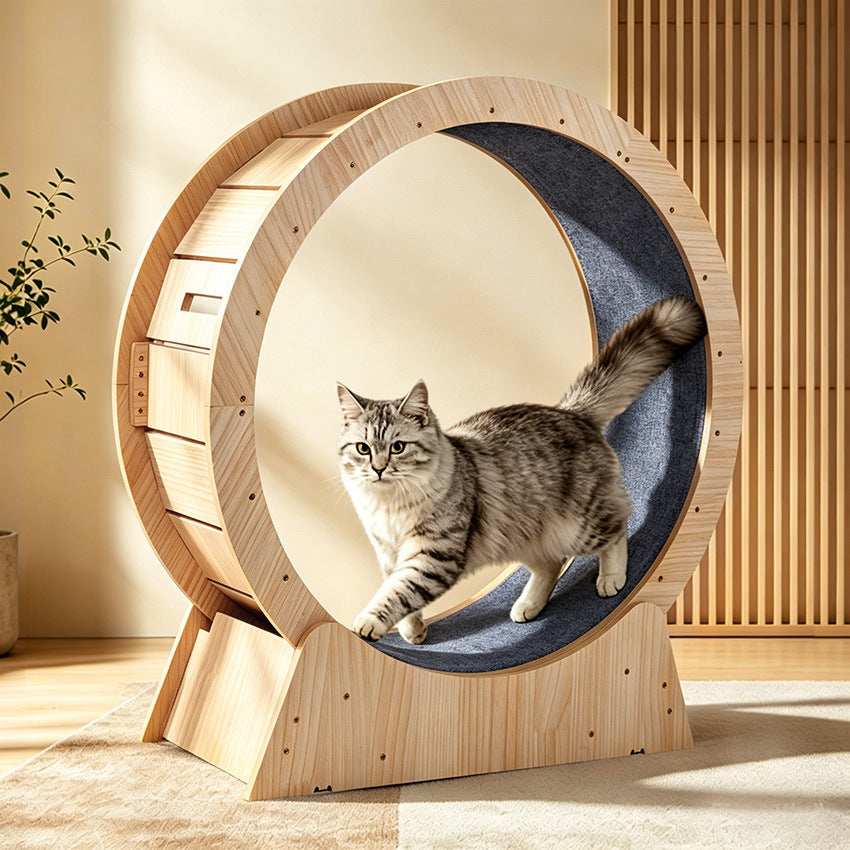Cat Exercise Wheel – Multi-Layer Running Wheel for Indoor Cats